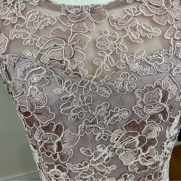 Alex Evenings Wisteria Rose Lace Cap Sleeve Maxi Gown with Shawl Size 12 - Picture 10 of 14